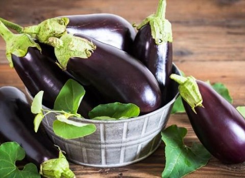 تصویر 2 از قیمت خرید بادمجان قلمی صادراتی + فروش ویژه